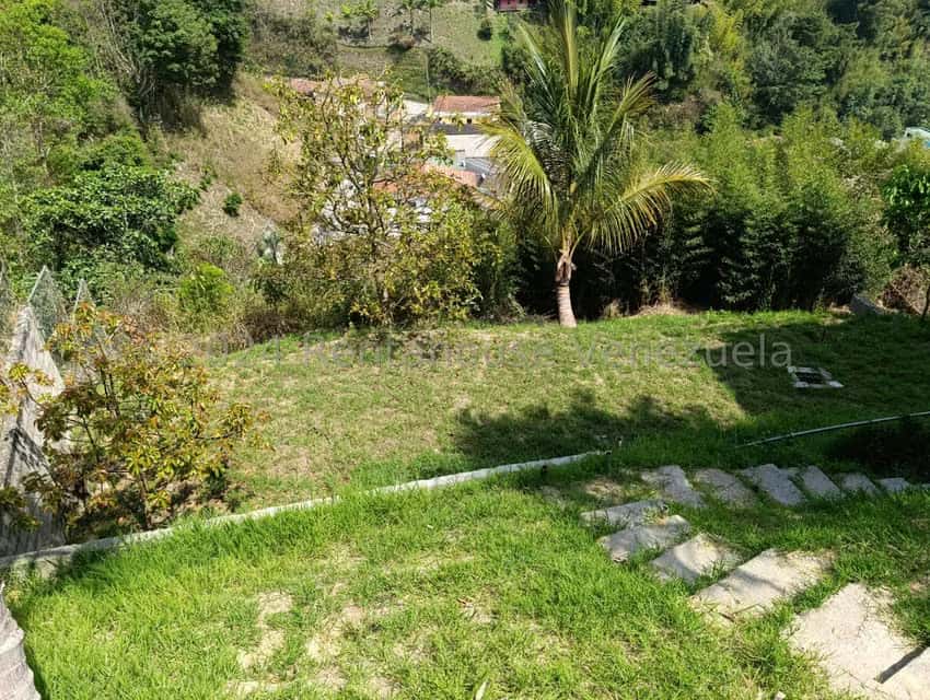 View 37