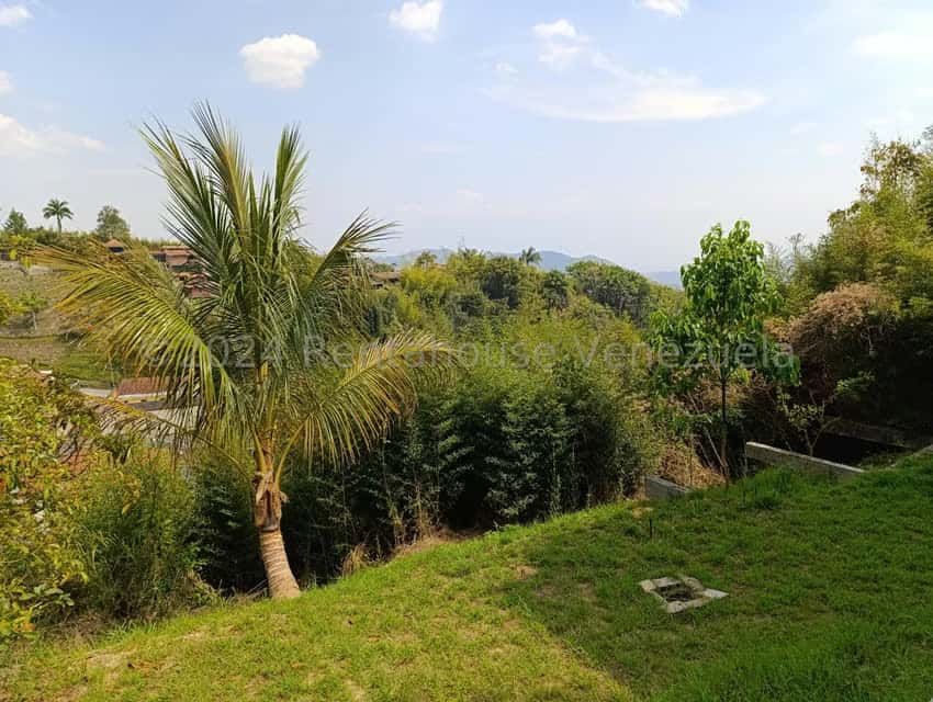 View 52