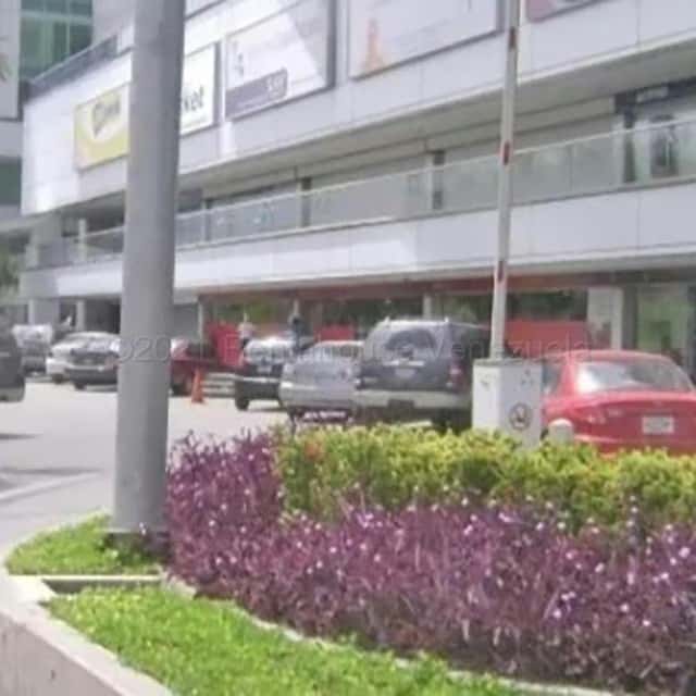 Vista 2