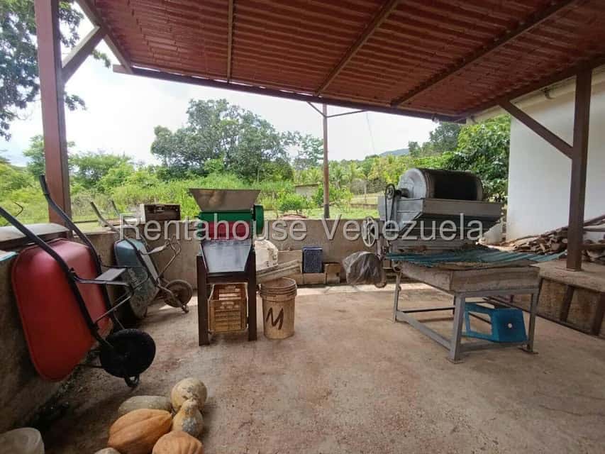 View 27
