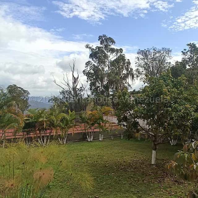 Vista 18