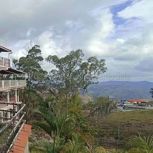 Vista 7
