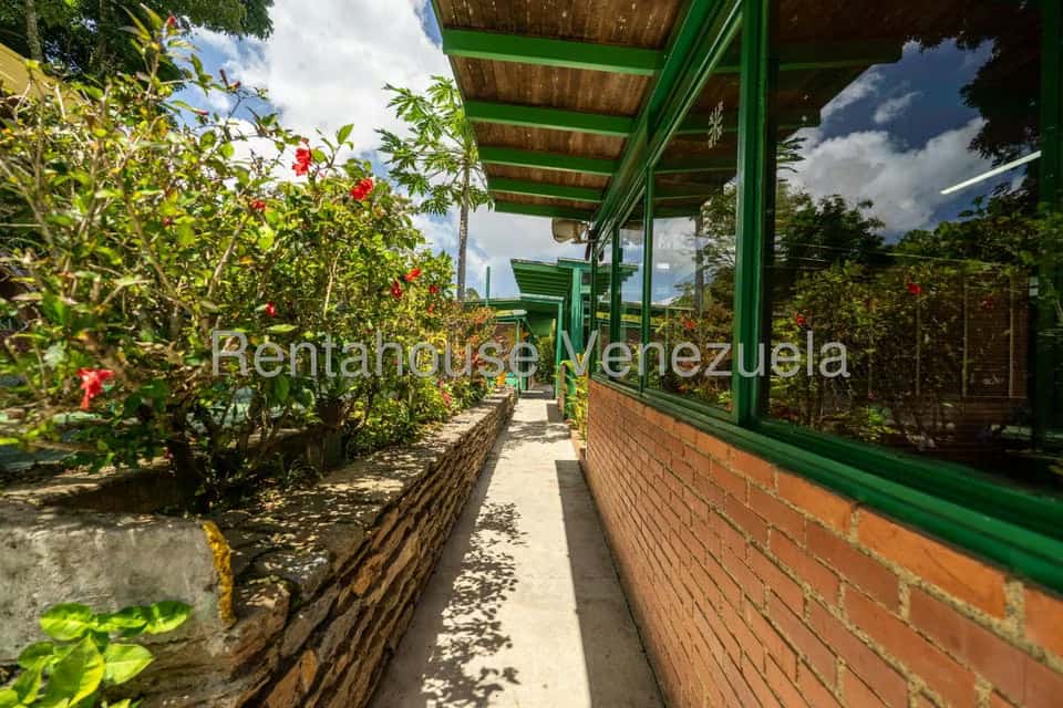 Vista 29