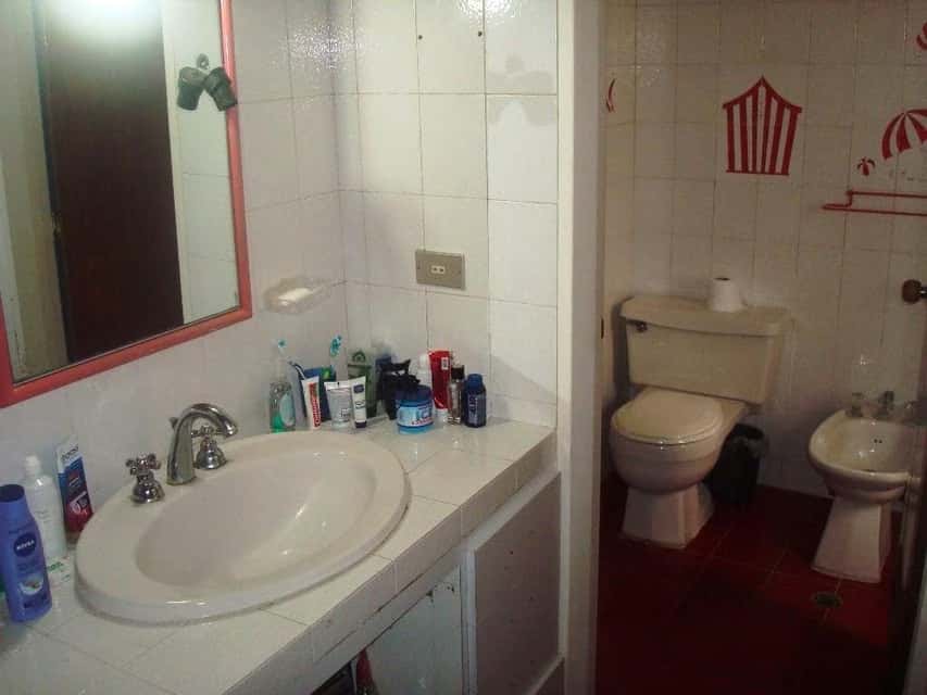 Vista 21