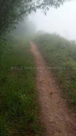 Vista 16