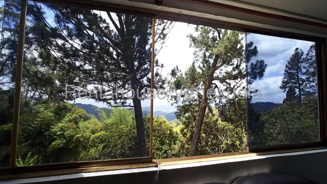View 36