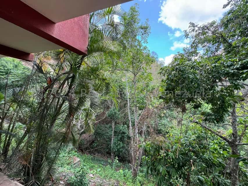 View 30