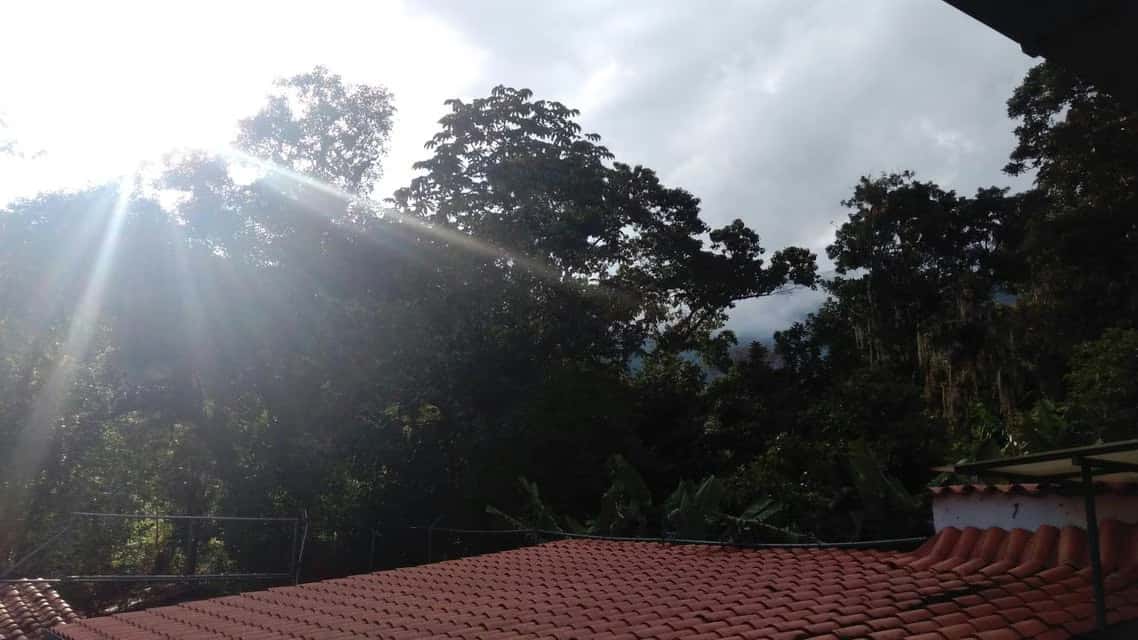 View 38