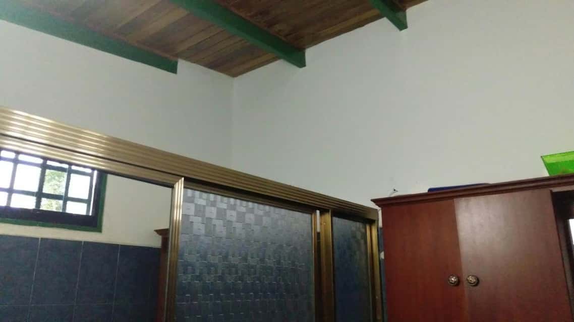 View 40