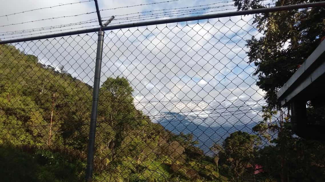 View 53