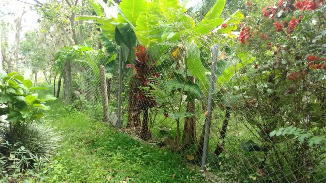 View 61