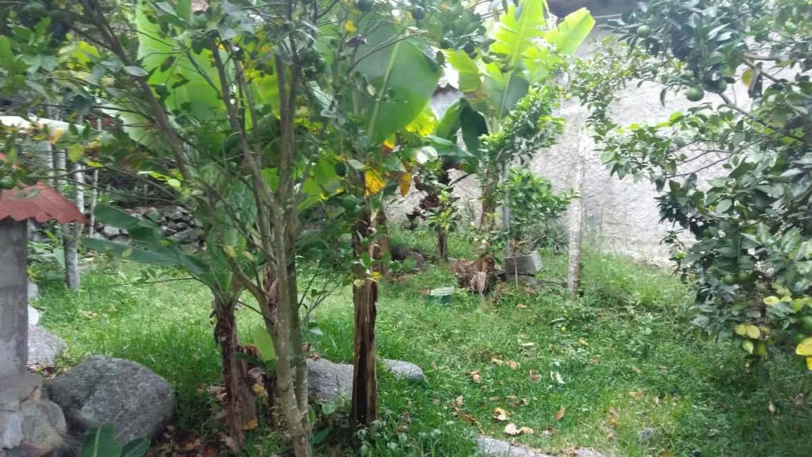 View 69