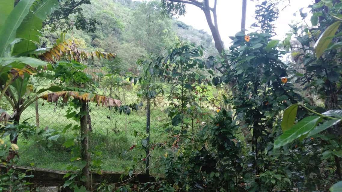 View 70