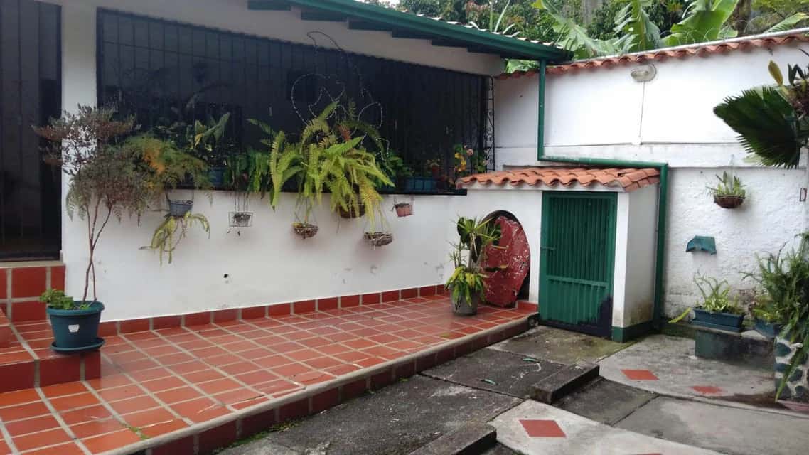 View 83