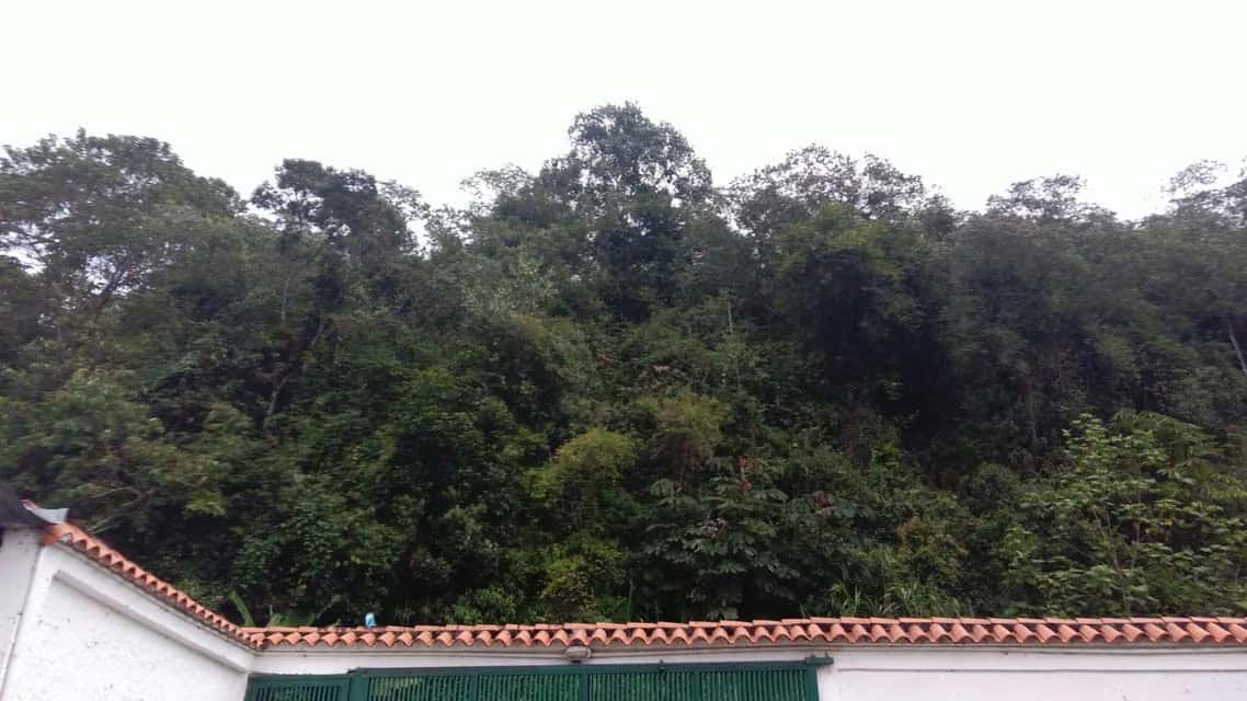 View 86
