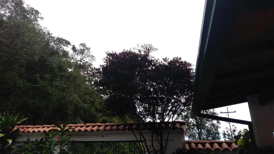 View 87