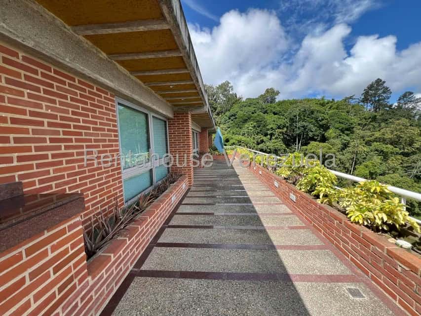 Vista 19