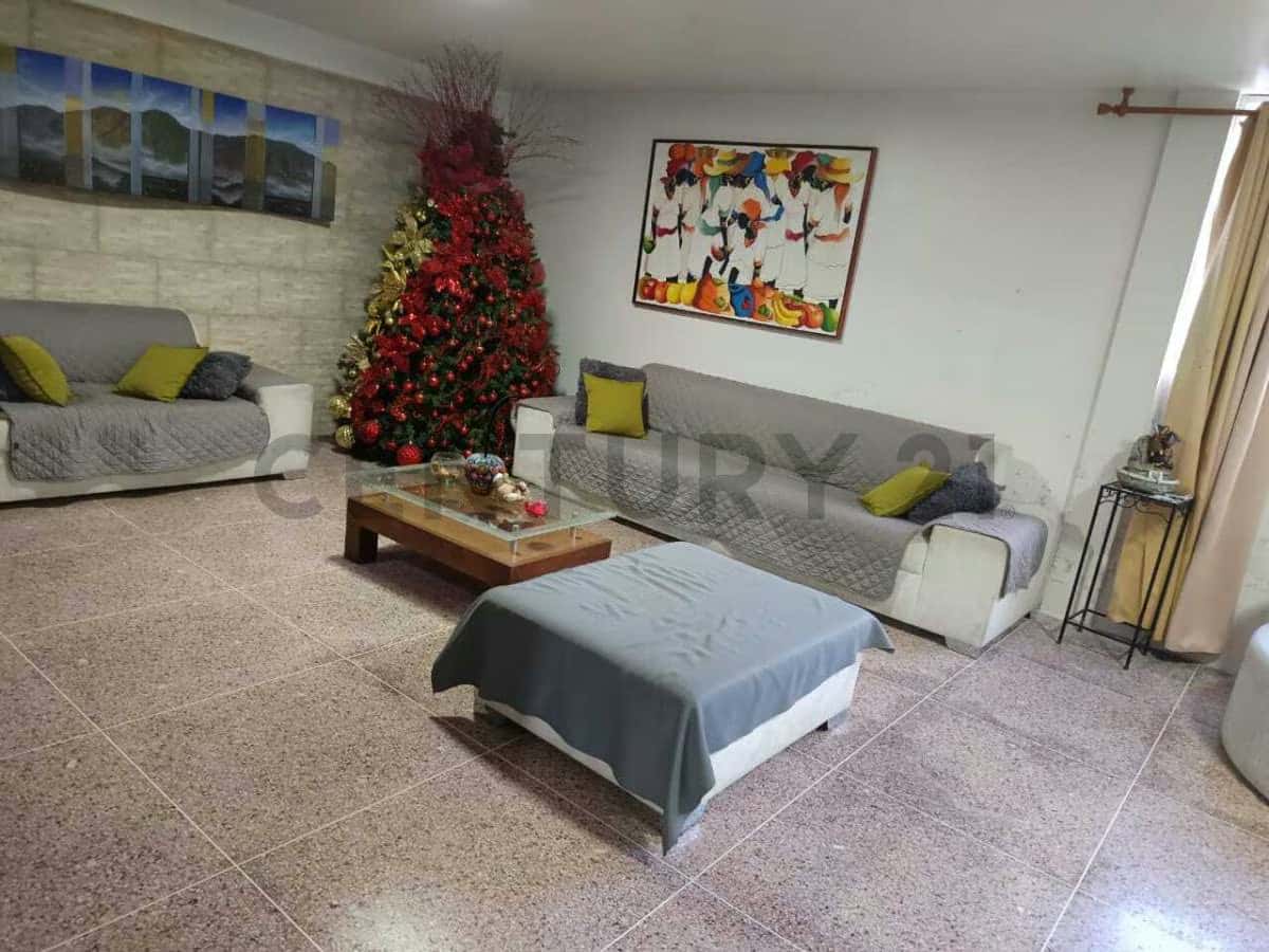 Vista 3