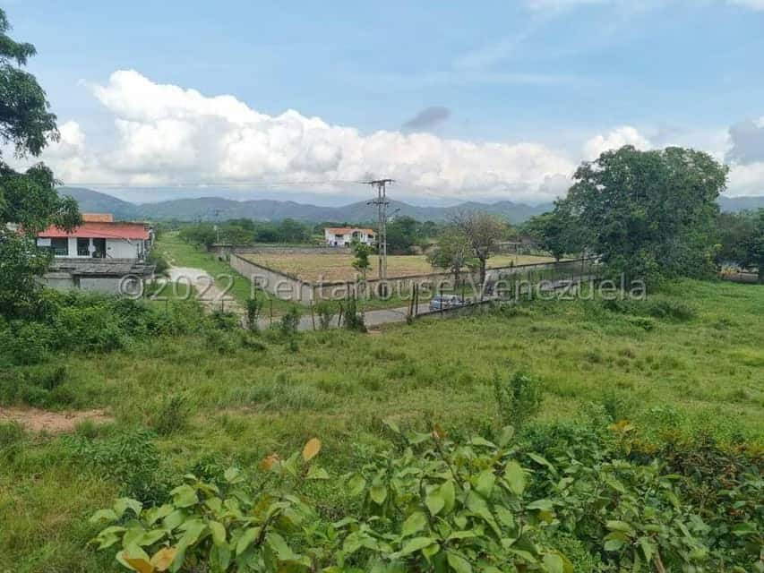 Vista 6