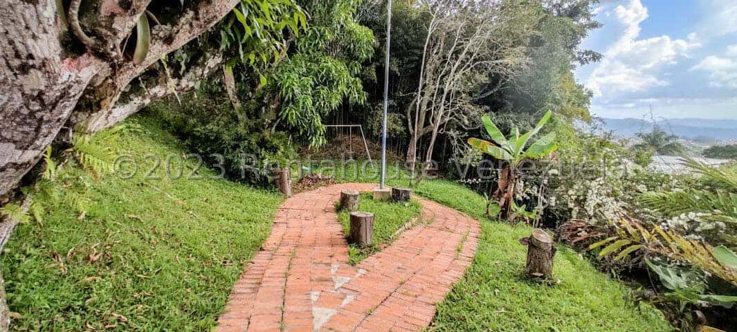 View 53