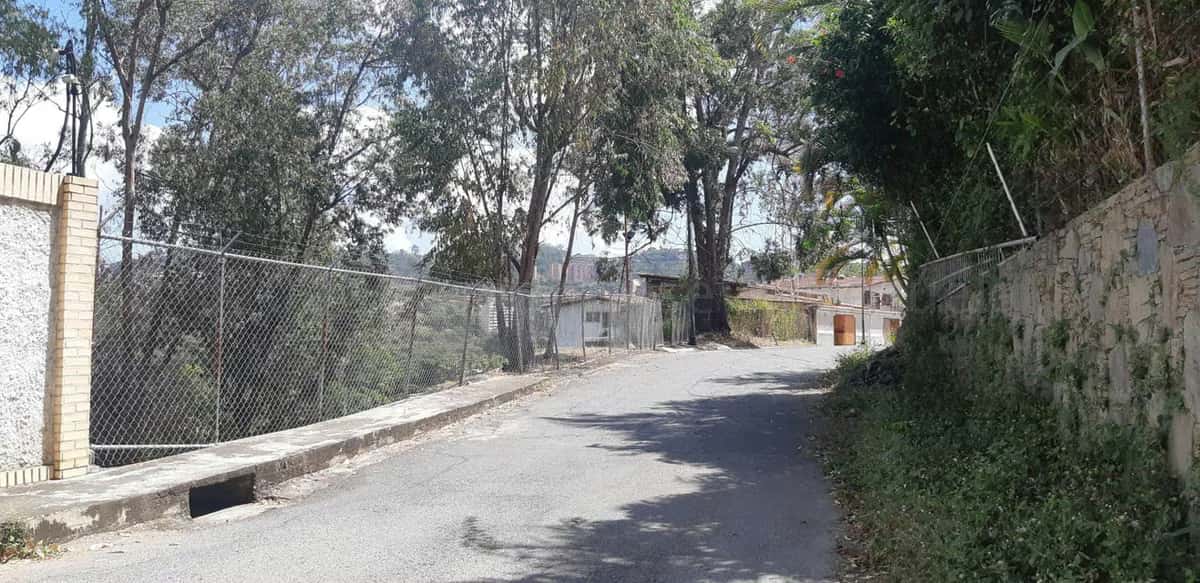 Vista 1