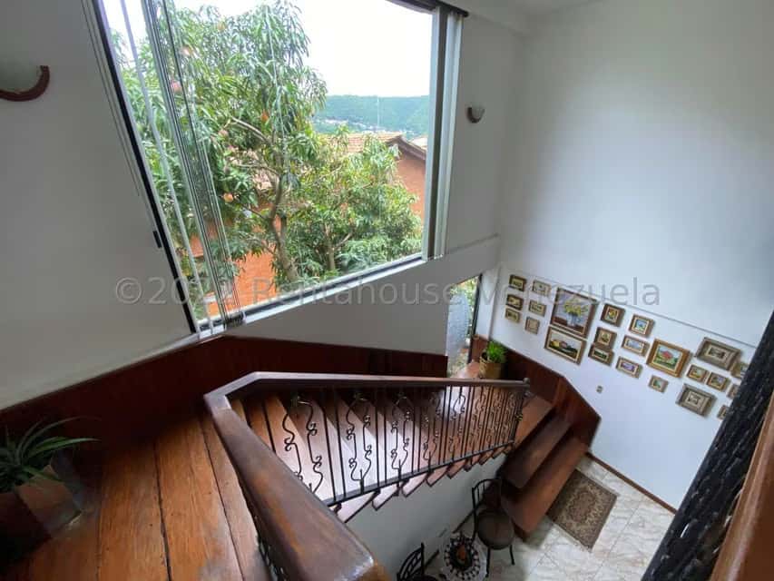 Vista 24