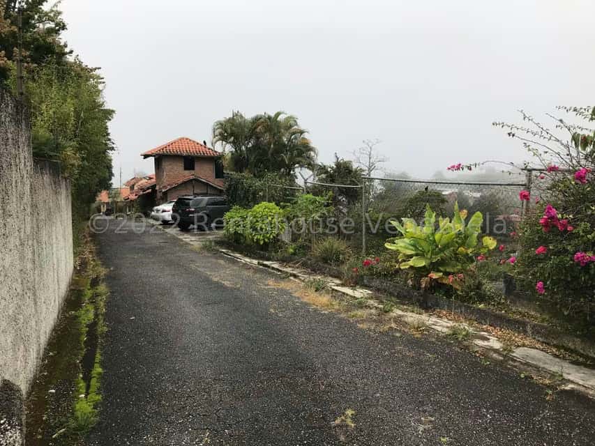 View 50