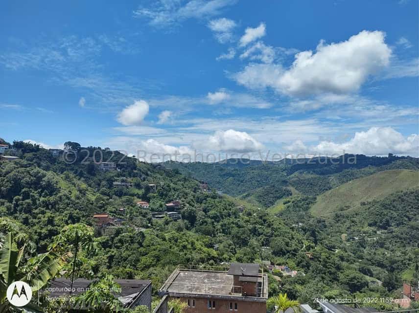 View 1