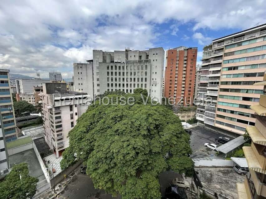 View 14