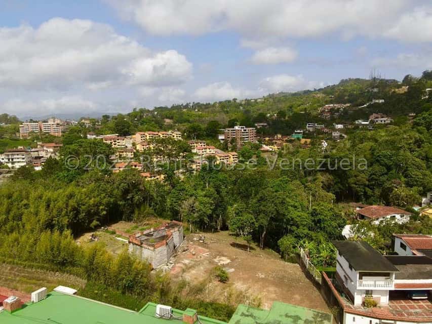 View 7