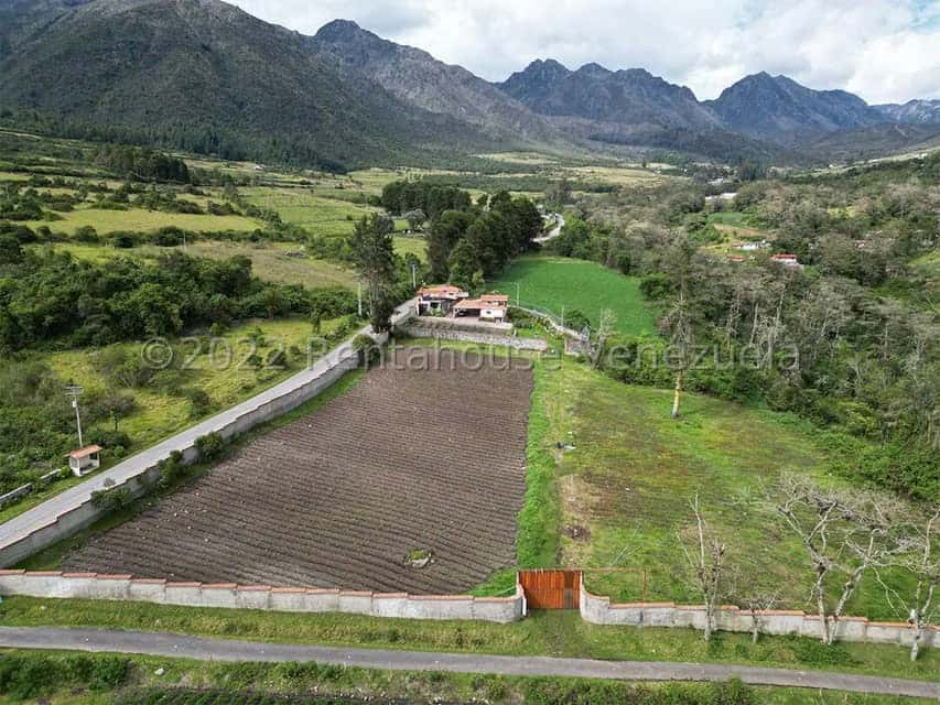Vista 1