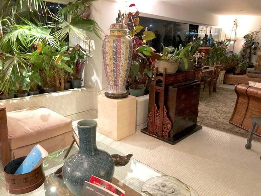 Vista 18