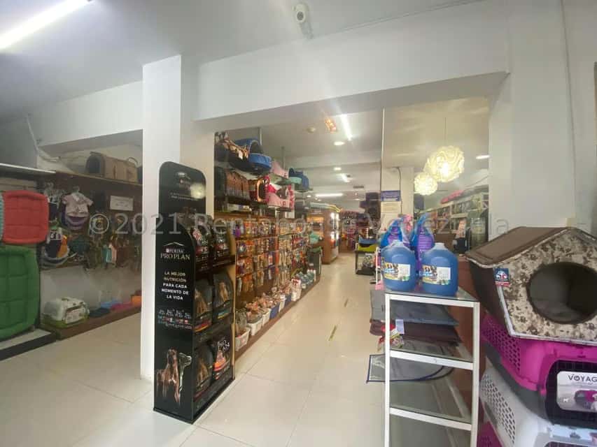 Vista 3