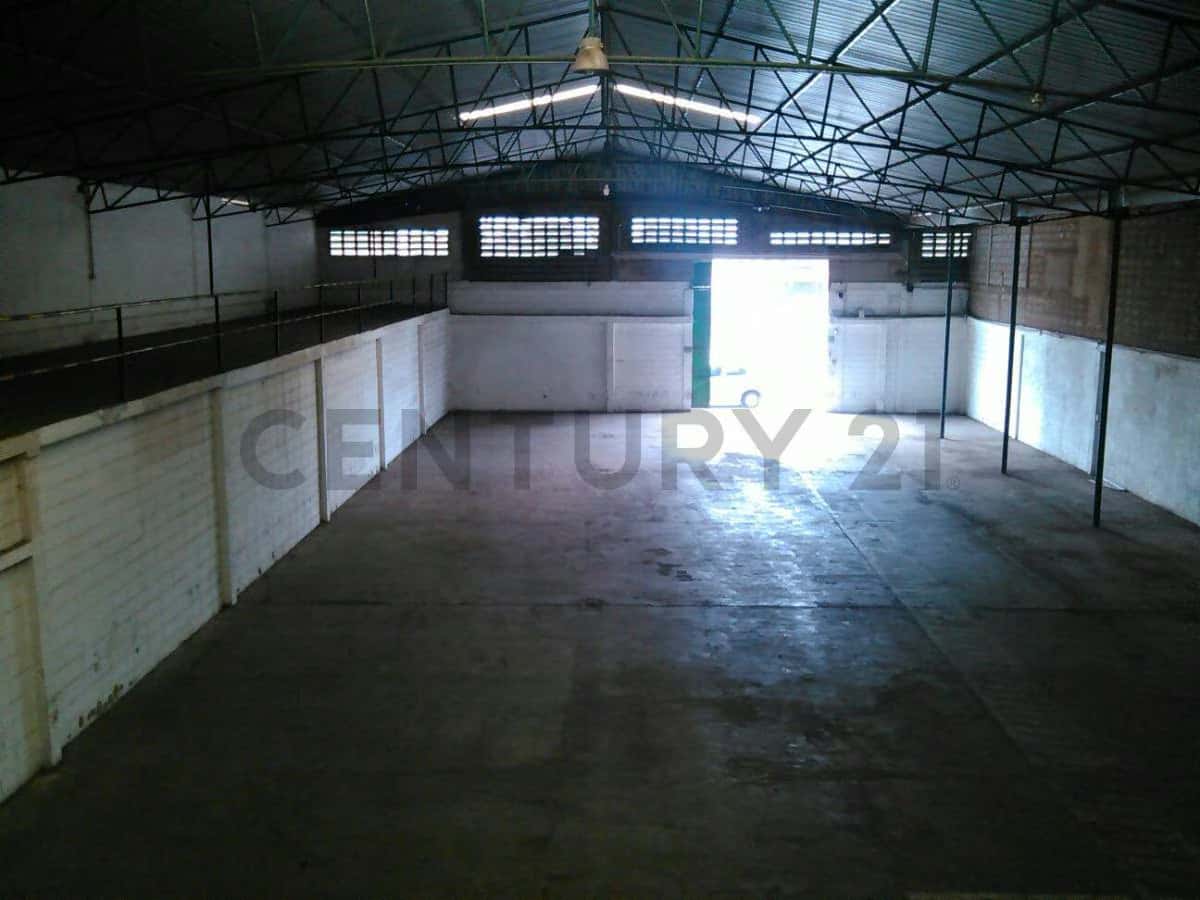 View 11