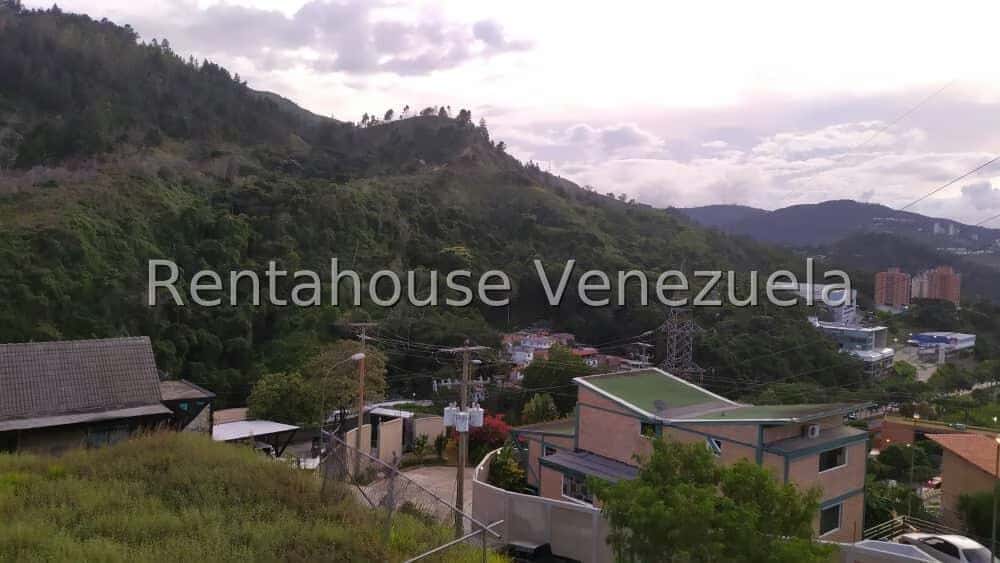 View 14
