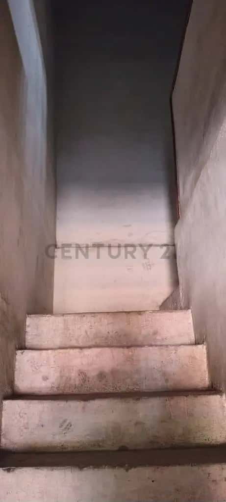 Vista 6