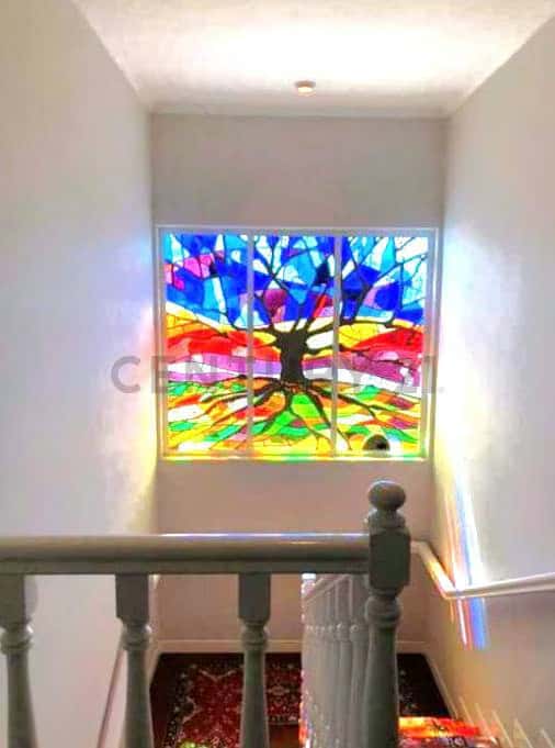 Vista 5