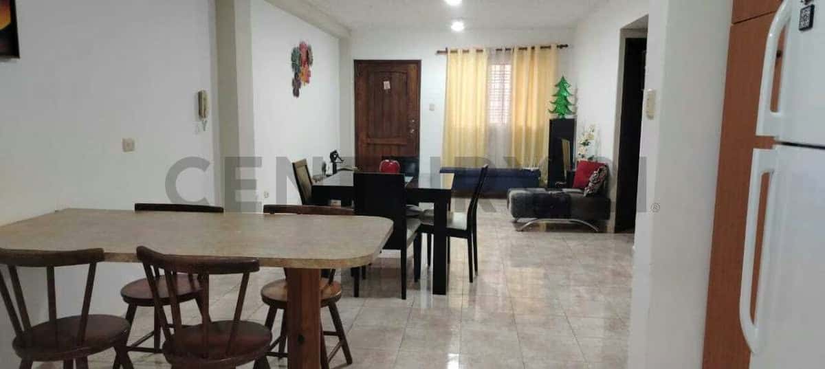 Vista 3
