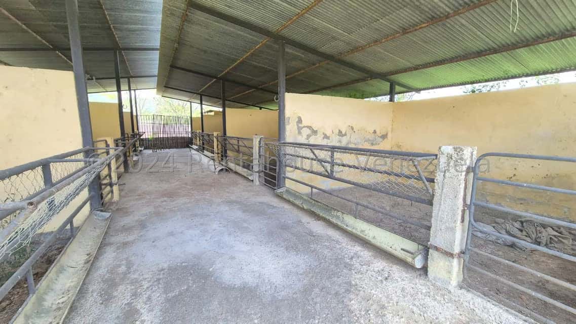 View 11