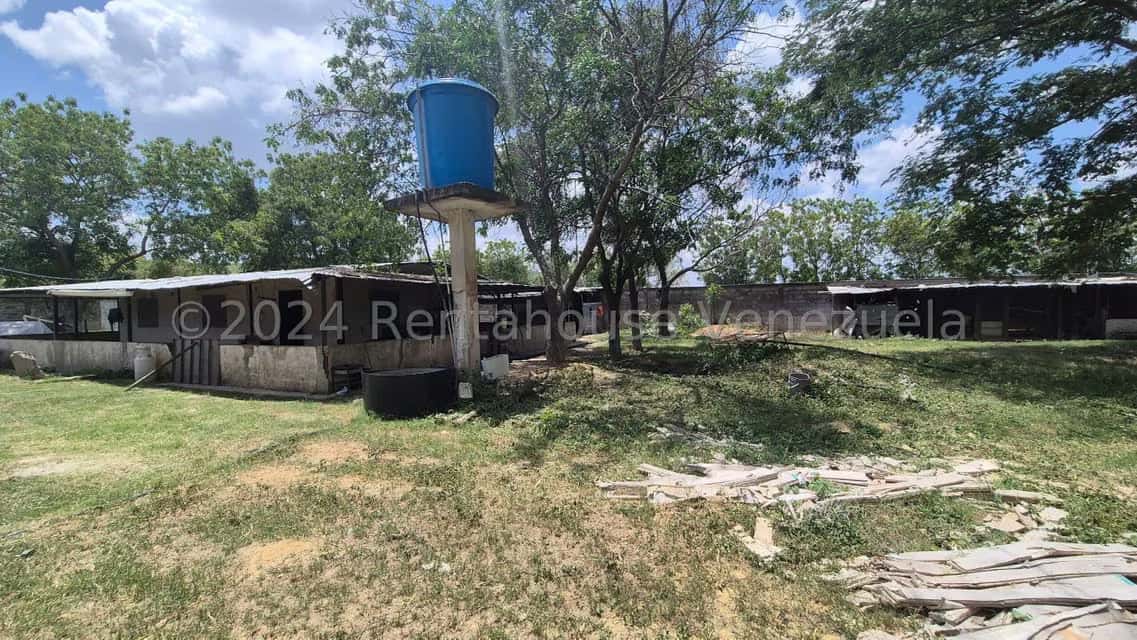 View 17