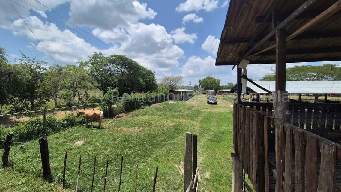 View 3