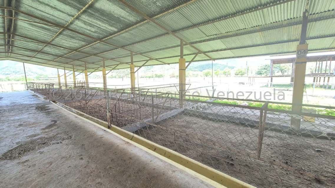 View 53