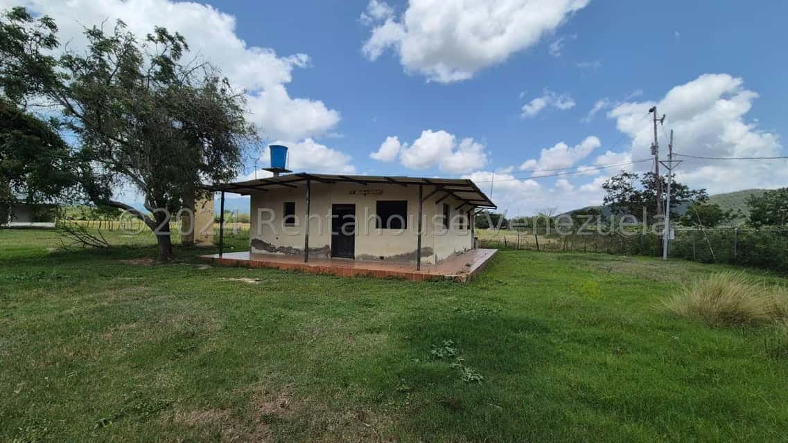 View 7