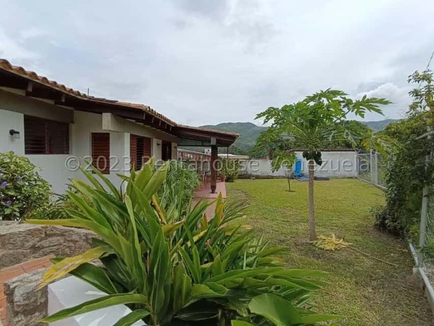Vista 52