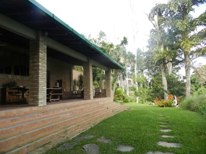 View 31