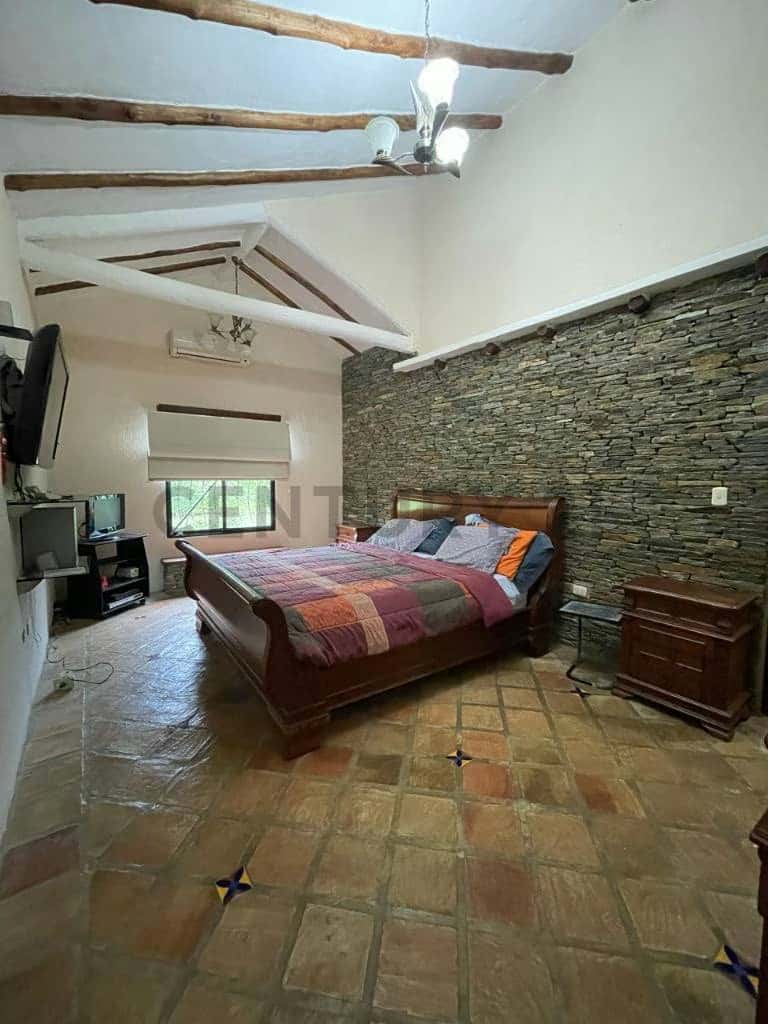 Vista 14