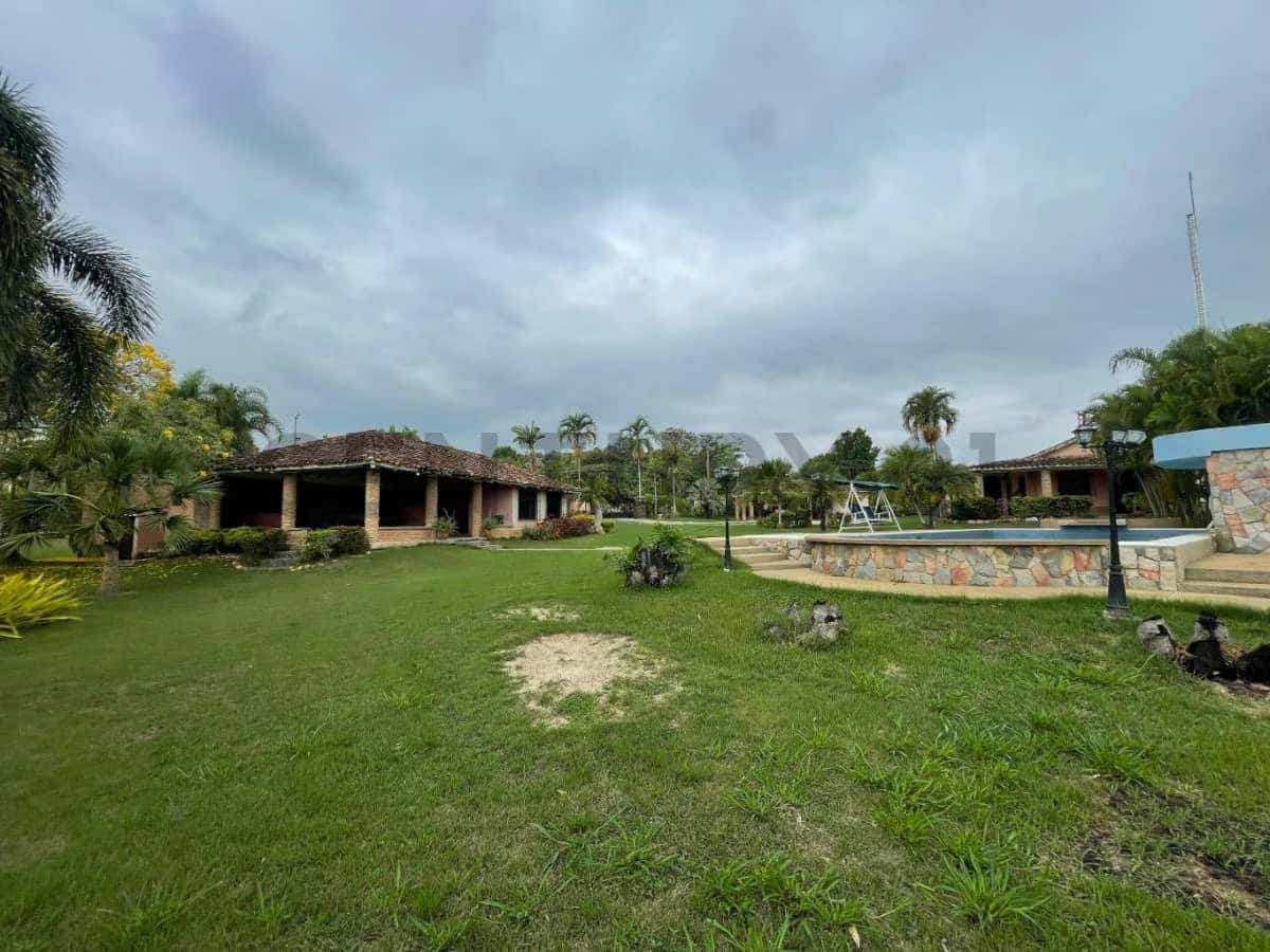 Vista 5