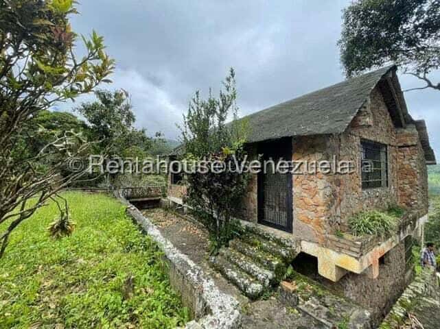 View 26