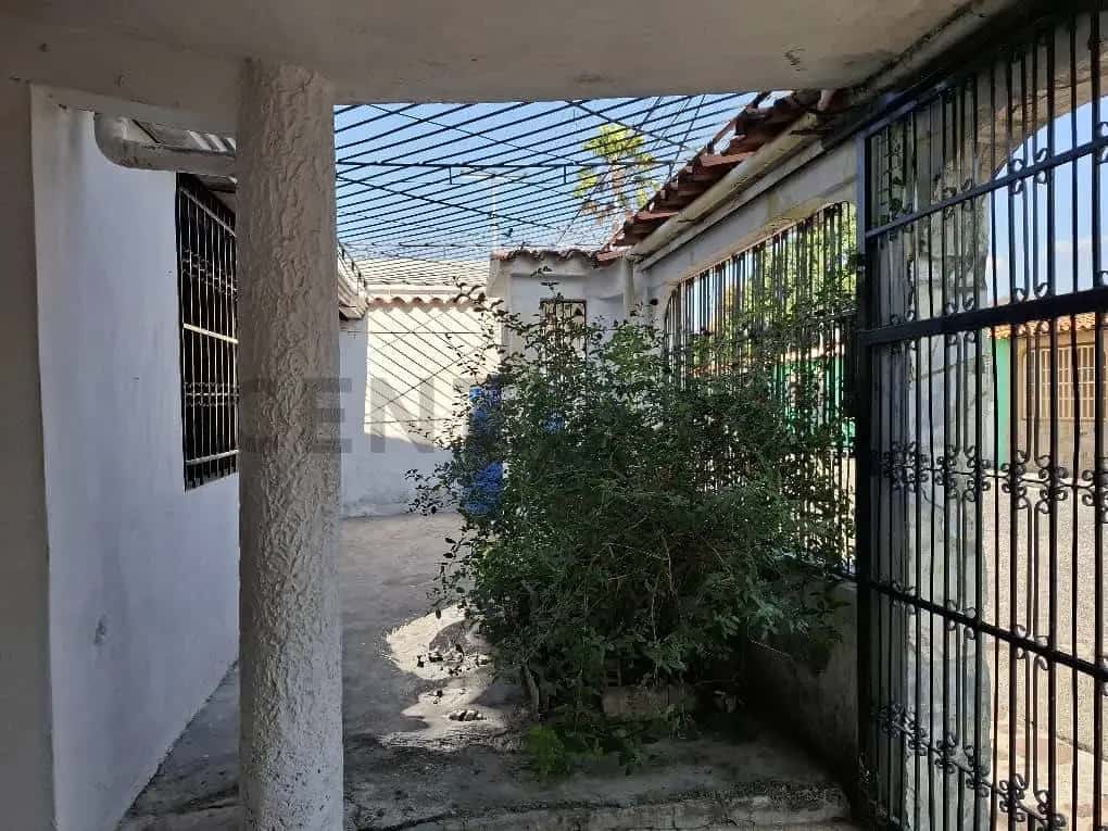 Vista 4