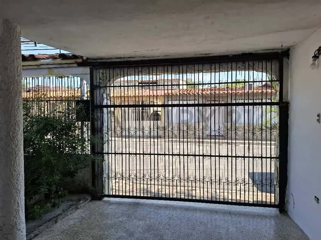 Vista 5